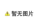 凝聚金磚合力 共享金色機(jī)遇